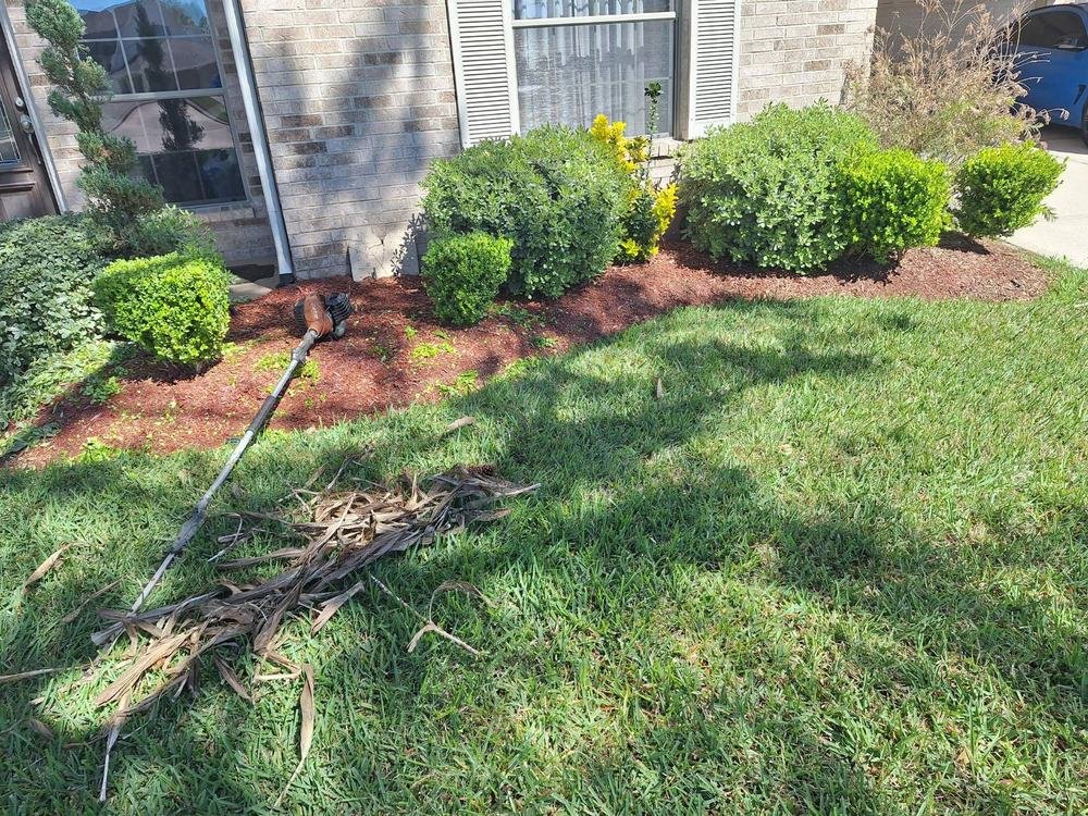 Trimmed shrubs, fresh red mulch, and a healthy lawn