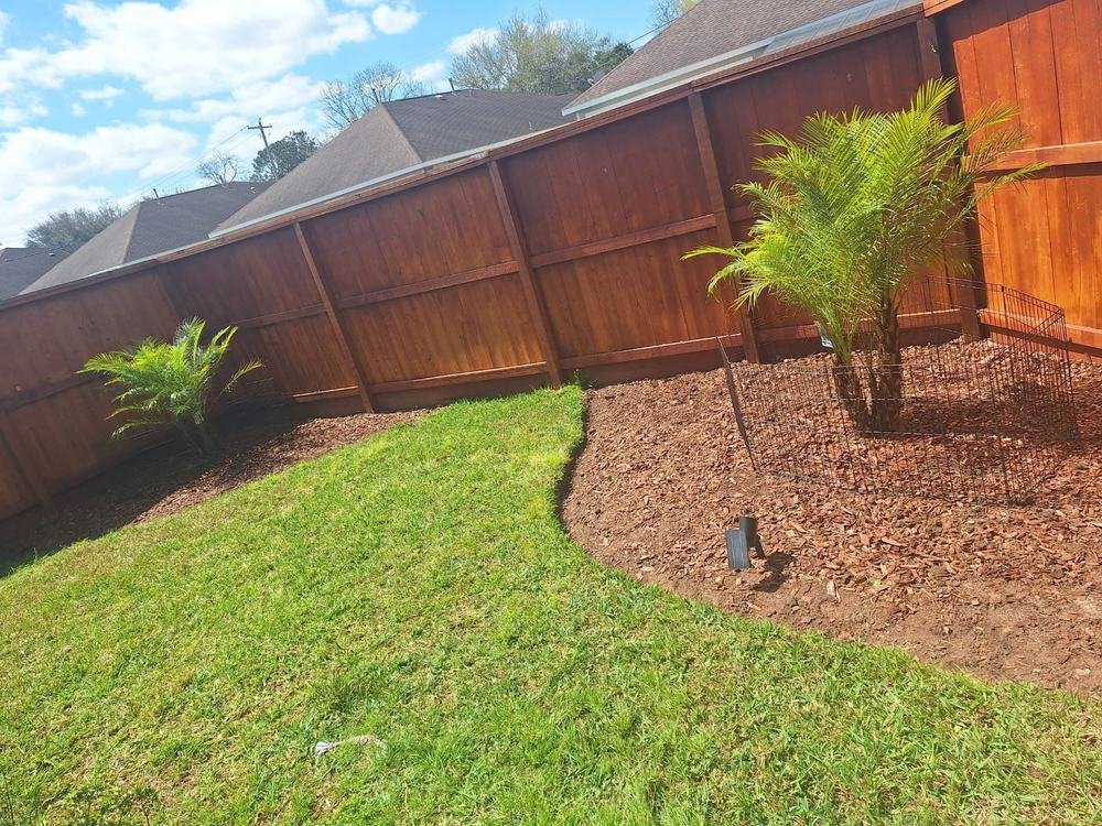 A refreshed backyard with curved garden beds, palms, mulch, and green lawn